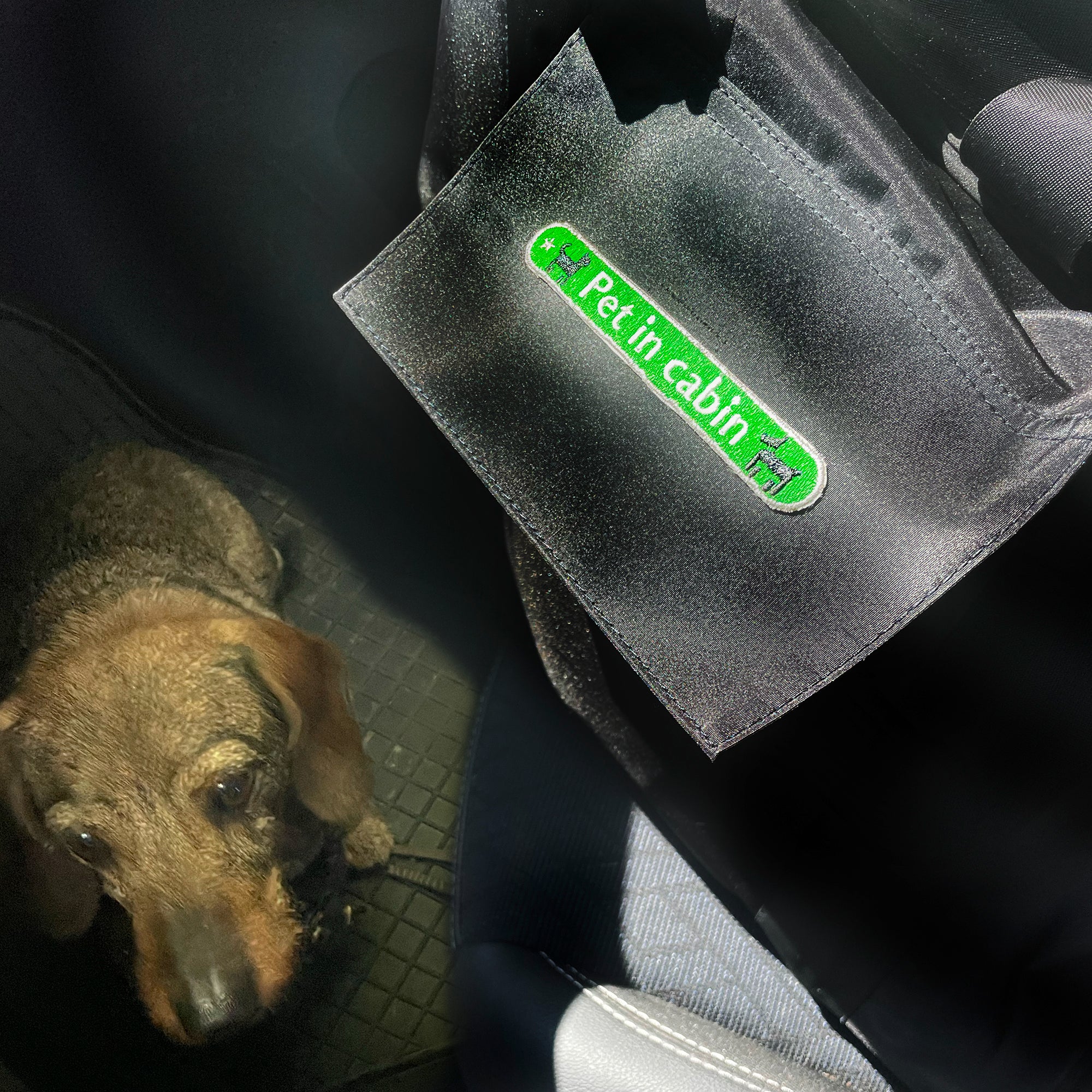 KOFFER PATCH: PET IN CABIN