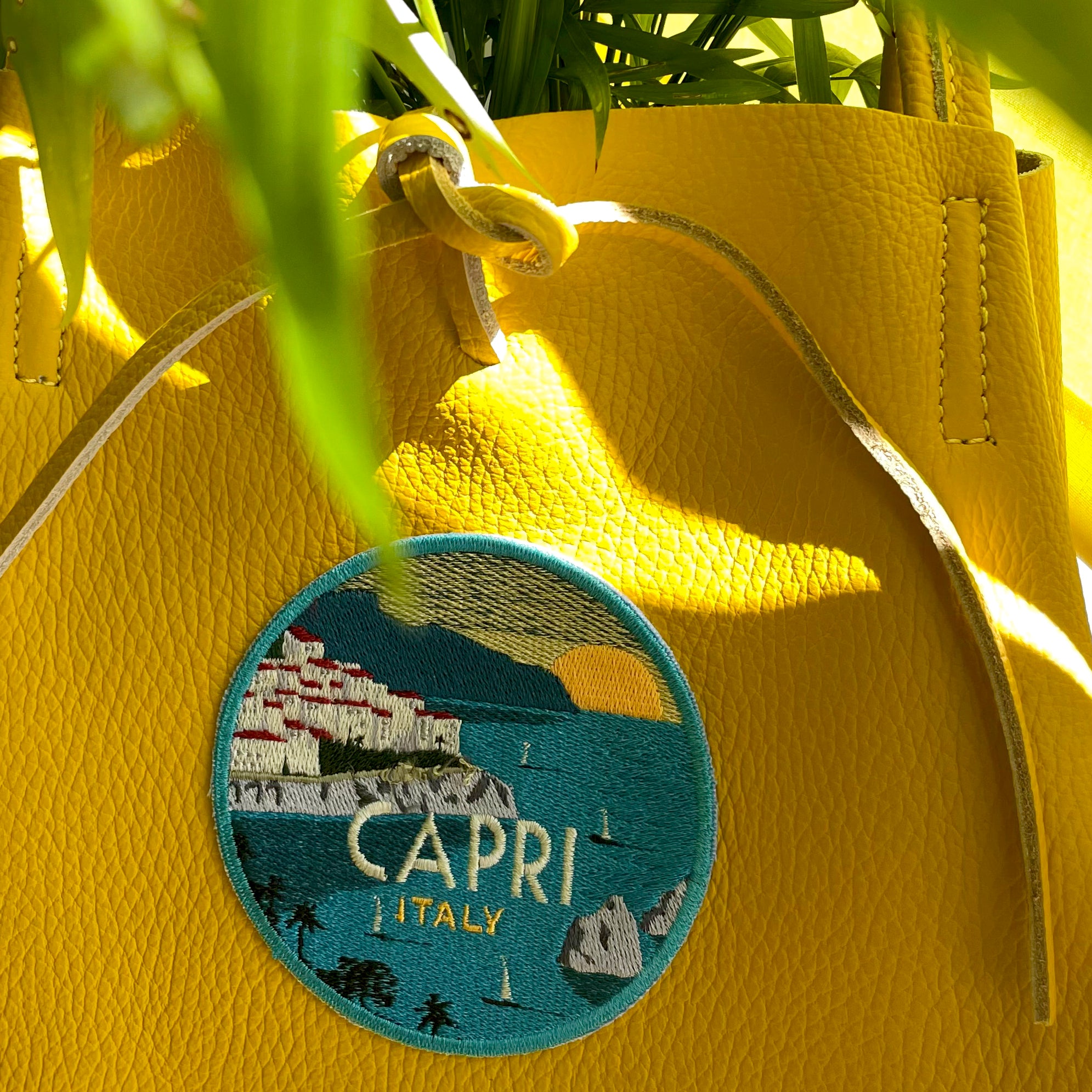 Label CAPRI