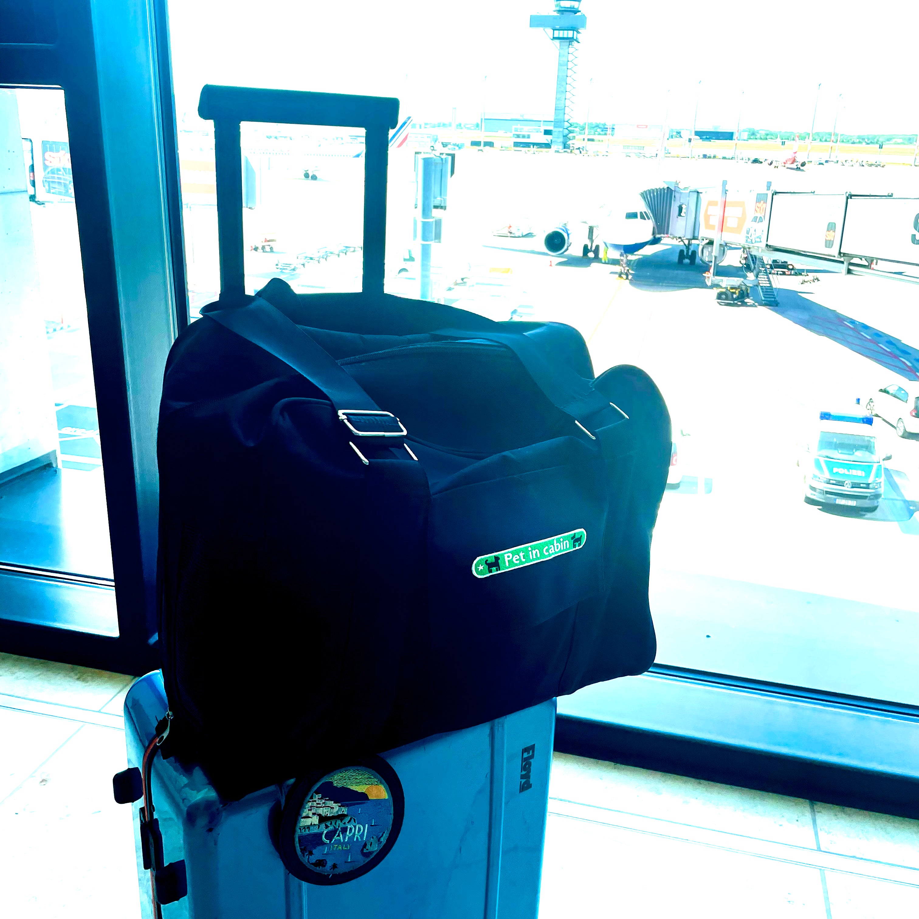 KOFFER PATCH: PET IN CABIN